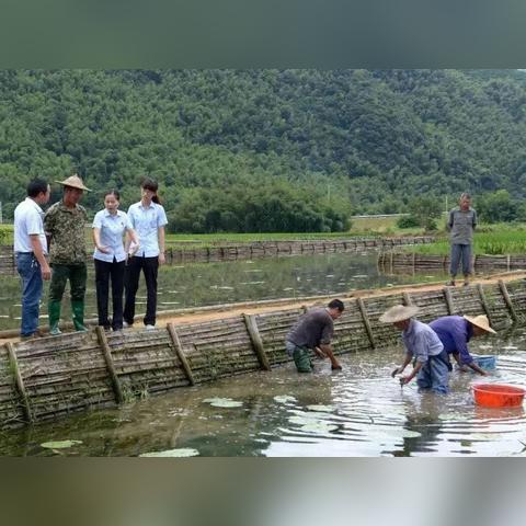 福建百度关键词优化排名，提升企业网络营销效果的关键策略