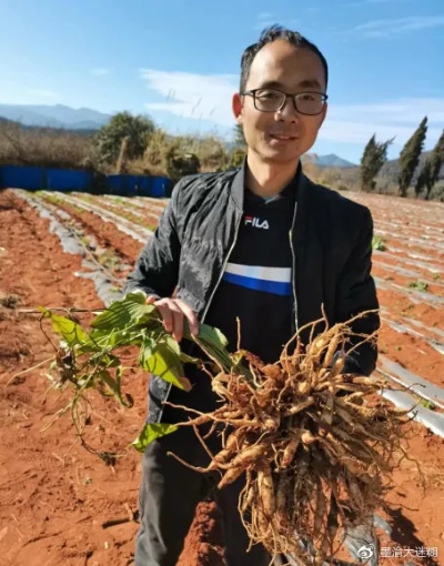 云南种植什么致富最好？