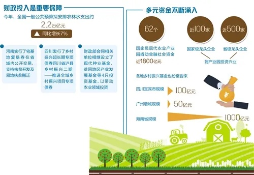 农民致富的多元路径与策略