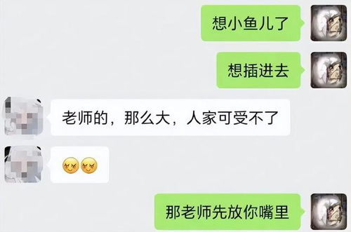 揭秘，如何轻松获取老婆聊天记录的软件