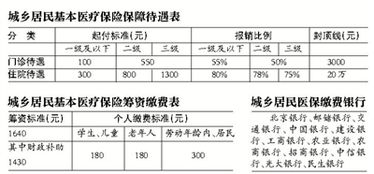 农村医保门诊报销政策解读与操作指南