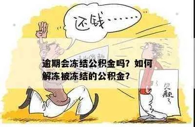 公积金冻结怎么解冻？教你最全解决方案！