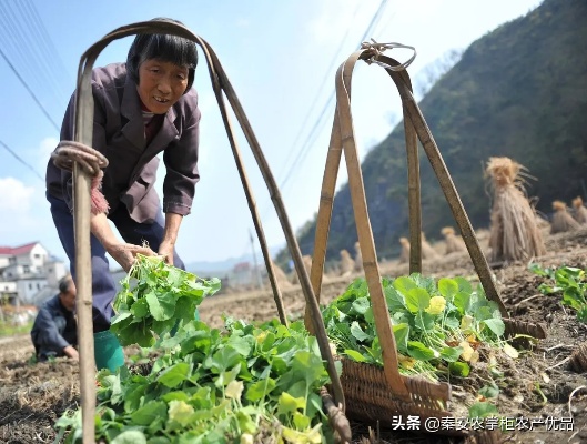 农民何时致富？