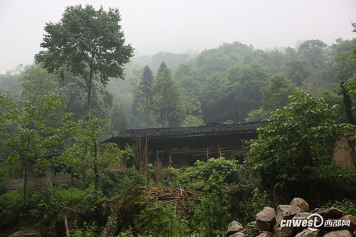 住在山里靠什么致富？