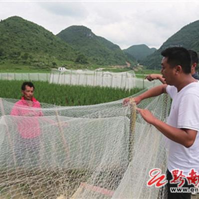 农业致富之路，探索与创新