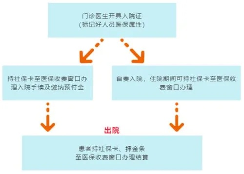 宝宝医保怎么报销？详解报销流程与注意事项