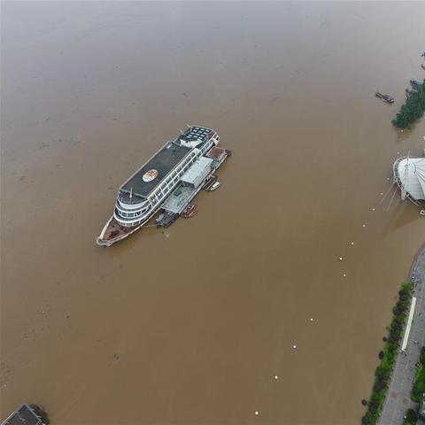 水文地下水位监测供应商的市场分析与选择