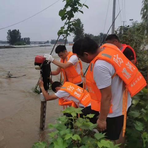 水文地下水位监测供应商的市场分析与选择