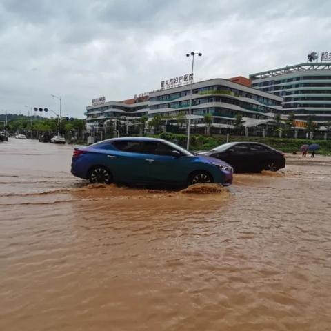 水文地下水位监测供应商的市场分析与选择