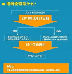 职工大病医保怎么报销？详解报销流程与注意事项