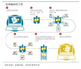 手机在哪可以查聊天记录，揭开手机聊天记录查询的神秘面纱