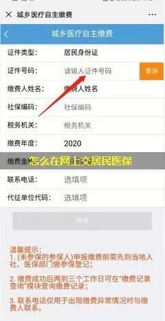 网上缴费轻松搞定，如何交纳医保卡费用