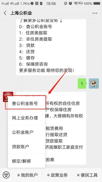 如何查询上海公积金账号，详细步骤与注意事项