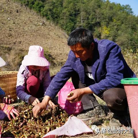 致富不靠勤劳靠什么？