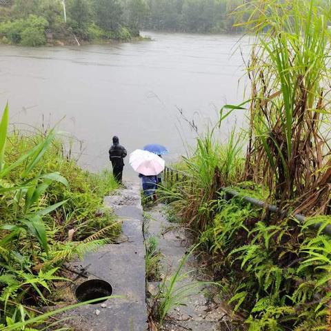 南宁水文监测，守护城市的水安全