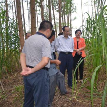 什么才使农民致富