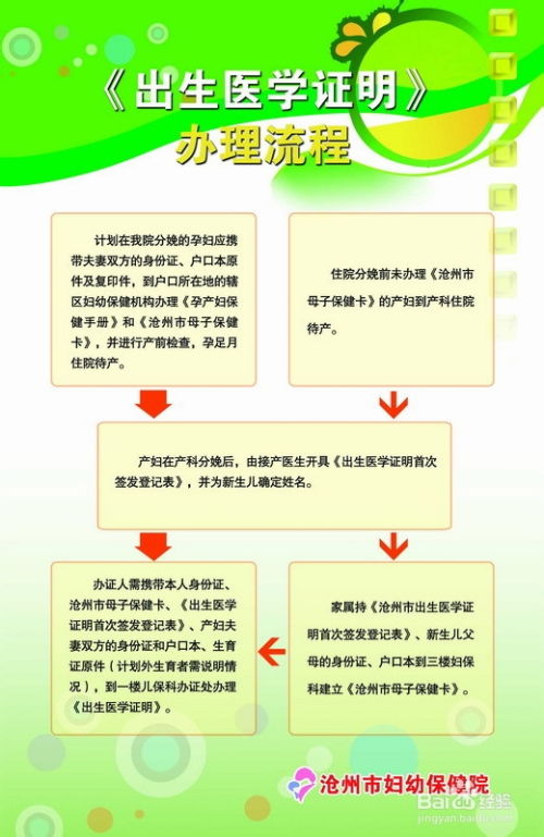 新生婴儿医保怎么报销？详细步骤及注意事项