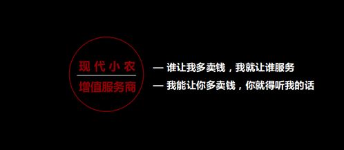 宁波免费关键词优化服务商，提升企业网络影响力的利器