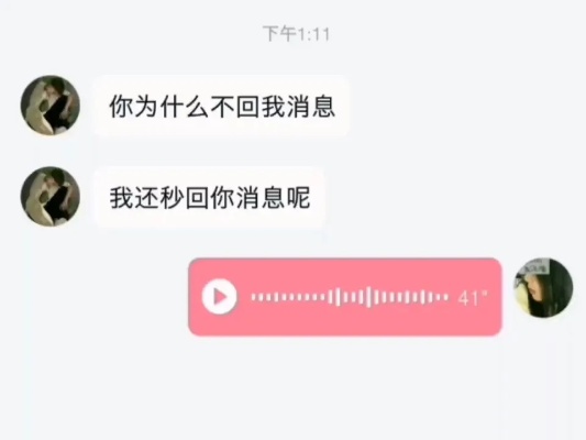 语音聊天记录，重温曾经的甜蜜与遗憾