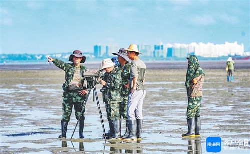 水文监测队，守护江河安全的侦察兵