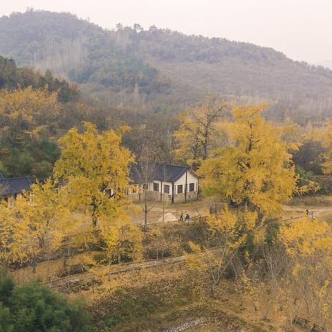 千载古城襄阳探秘小生意新天地，赚钱秘籍大揭秘