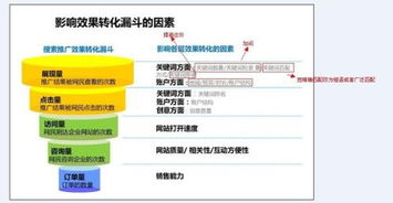 金华关键词优化推广排名榜，打造区域品牌影响力，提升企业竞争力