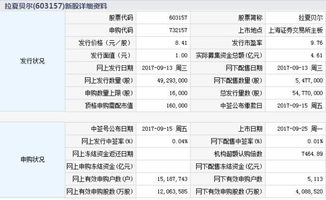 领先行业的大连关键词排名优化公司，实现您的在线业务成功之路