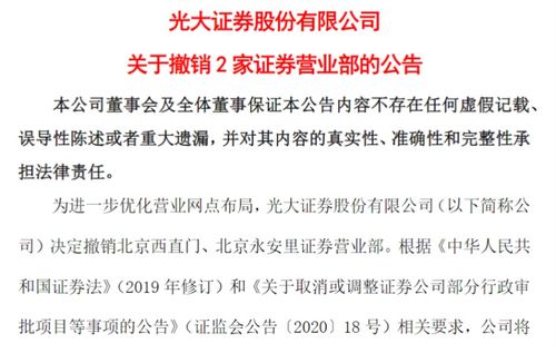 深度解析濮阳关键词优化排名哪家好？实战经验告诉你答案！