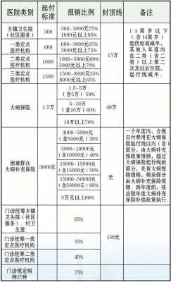 补缴医保怎么算？