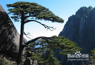 黄山百度小程序，探索美丽的黄山风光