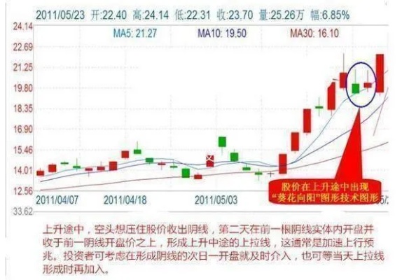 大学生假期在家如何赚钱？10个实用建议助你轻松实现财务自由