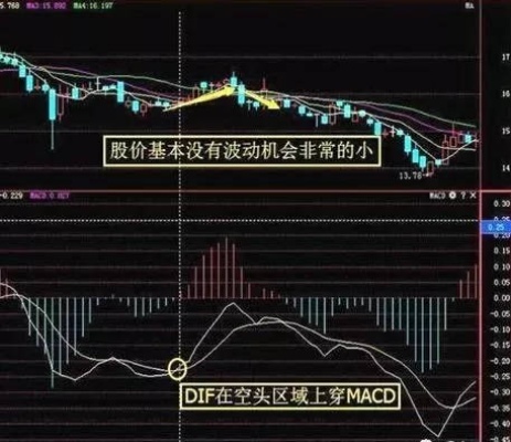 大学生假期在家如何赚钱？10个实用建议助你轻松实现财务自由