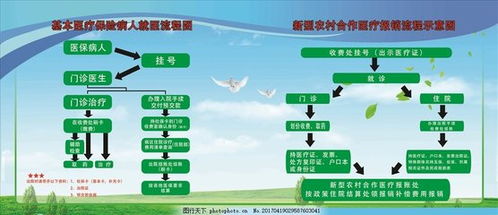 公司买的医保怎么报销？详解报销流程与注意事项