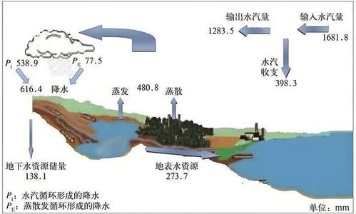 水文监测下载，实现水资源可持续利用的关键