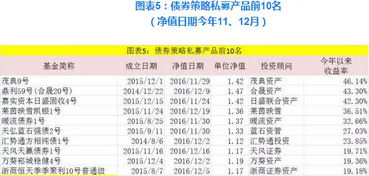 打造高收益工作室，12大策略助你快速赚钱