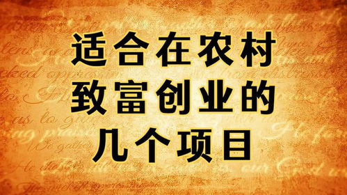 勤劳未必致富，揭示财富背后的真相