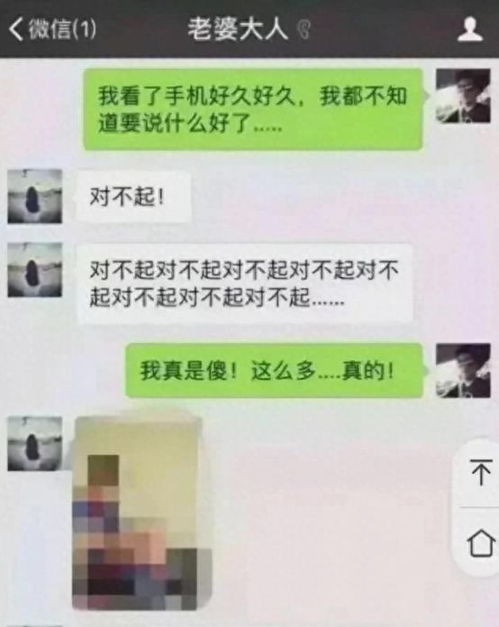 揭秘微信隐私，湖北男子查老婆聊天记录背后的惊天秘密