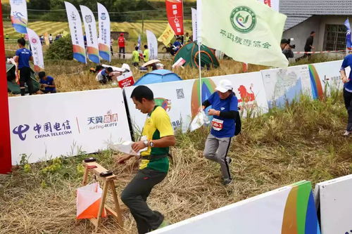 泰安小生意新思路，挖掘地方特色，助力创业成功