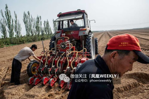 乡村致富之路，挖掘乡村特产的潜力与机遇