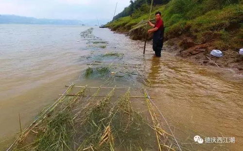 临沧水文监测，守护江河的重要使命