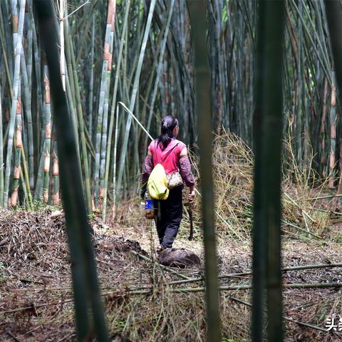 广东致富的奥秘，历史、地理、文化和政策的完美结合