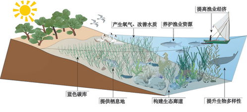 水文监测场地，守护水资源的重要阵地