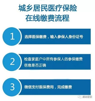 如何顺利交纳医保，步骤详解