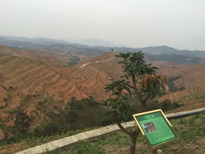 家住山岭，养什么致富？