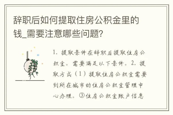 辞职后如何提取住房公积金，一份详尽指南