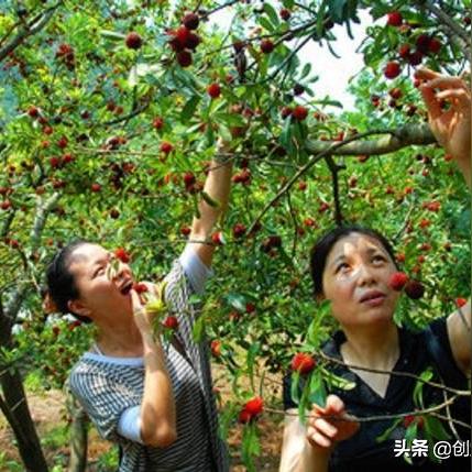 2017投资什么项目致富，把握机遇，迈向财富之路