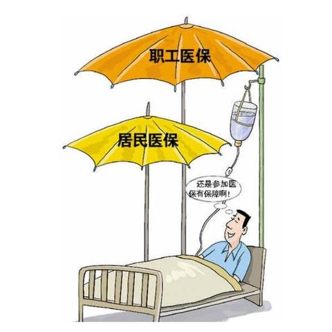 个人社保医保怎么缴纳