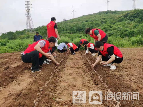 农村靠什么致富发展