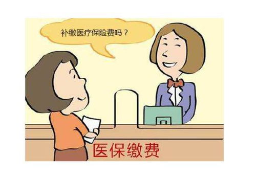 退休补交医保怎么算？