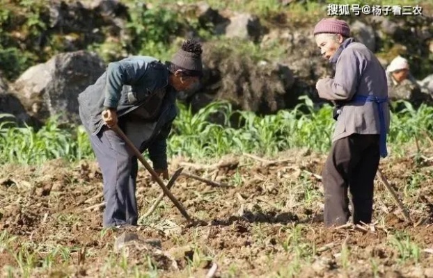 农村致富难，历史、现实与未来